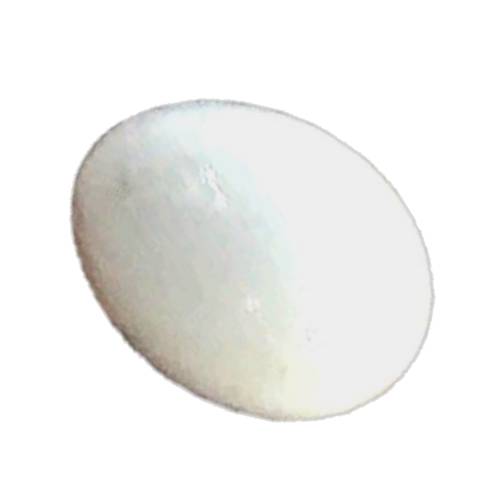 Egg Pigeon is a small organic vessel and has an outher layer that is hard and made from calcium carbonate and contains albumen the white high in proteins and vitellus the yoke high in fatty acids and soluble vitamins A D E and K.