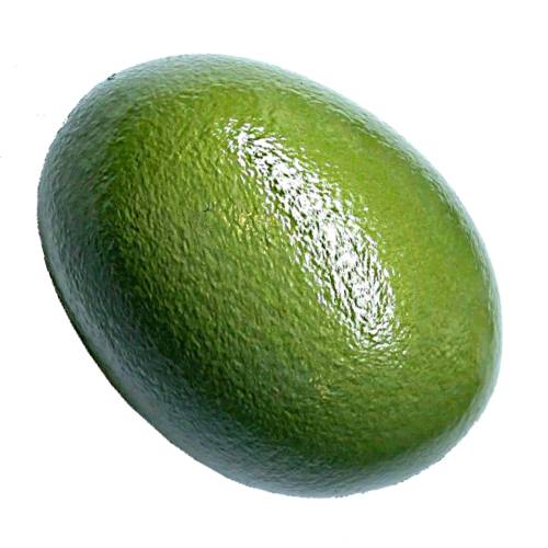 Egg Tinamou comes in a few colors and is oval shape and has hard outside made from calcium carbonate and contains albumen high in proteins and vitellus high in fatty acids.