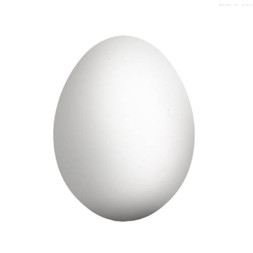 Egg - Whole egg with white and yoke used in cocktail making and is around 60g.
