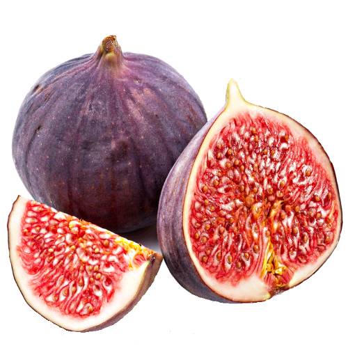 Ficus carica is an species of flowering plant in the mulberry family known as the common fig. It is the source of the fruit also called the fig and as such is an important crop in those areas where it is grown commercially.