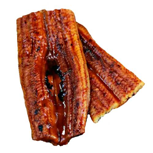 Fish Eel Cooked - Cooked Eel is cooked by poaching frying steaming grilling or BBQed until cooked.