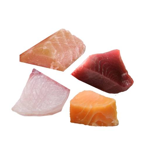 Fish - Fish
