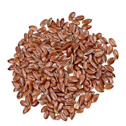 Flax seeds or linseed is cultivated as a food and fiber crop in regions of the world with temperate climates.