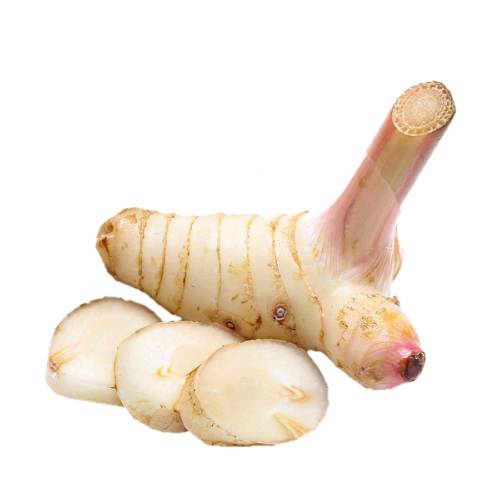 Galangal or Alpinia officinarum and galanga galingale gargaut colic root east India catarrh root east India root ginger root India root Thai ginger or blue ginger.