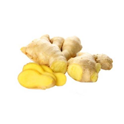 Ginger - Ginger root called Zingiber officinale is a rhizome ginger root or ginger is widely used as a spice.