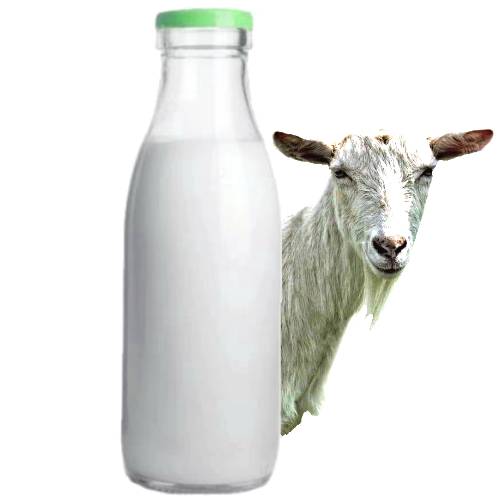 Goats Milk - Goats milk is derived from goats with impressive health benefits of goat milk and the recent research into its positive effects on the human body have made it a very popular choice.