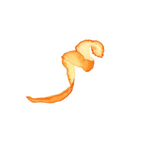 Grapefruit Peel - The skin of a grapefruit.
