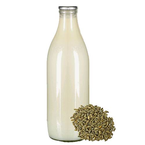 Rye Gruel is made by grinding wheat into flour then cooked with water or milk or both and can be served hot or cold.