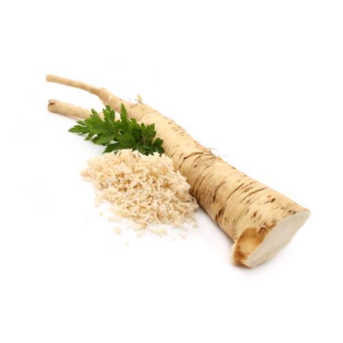 Horseradish is a perennial plant of the Brassicaceae family.