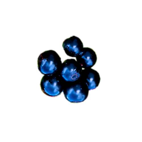 Huckleberry is a name used in North America for several plants in the family Ericaceae in two closely related genera Vaccinium and Gaylussacia. The huckleberry is the state fruit of Idaho.