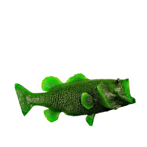 Jelly Fish Green - Green Jelly Fish is made with gelatin and sugar and is sweet jelly with a bright green color and sweet citrus flavour.