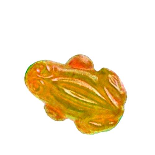 Jelly Frog Orange - Orange jelly frog is a soft candy with a sweet citrus orange flavour made with sugar and gelatin and is sweet style jelly with a bright orange color.