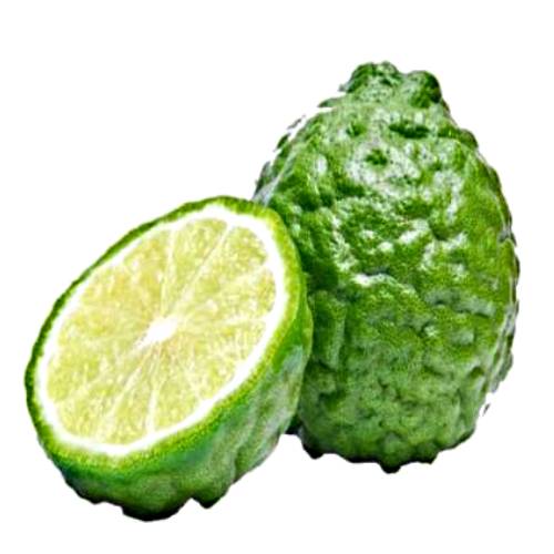 Citrus hystrix called the kaffir lime makrut lime or Mauritius papeda is a citrus fruit native to tropical Southeast Asia. Its fruit and leaves are used in Southeast Asian cuisine and its essential oil is used in perfumery.