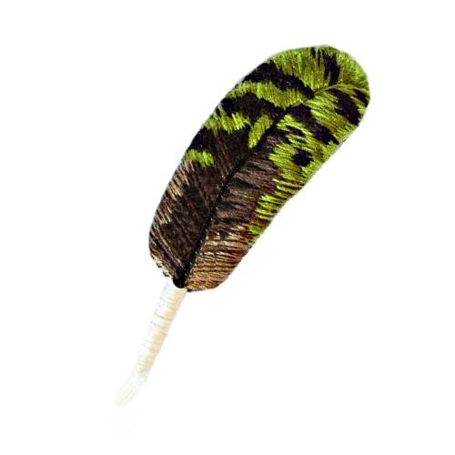 Kakapo Feather - Kakapo Feather from a parrots from New Zealand with green and brown foliage.