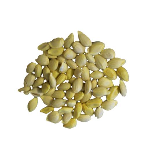 Lemon Seed