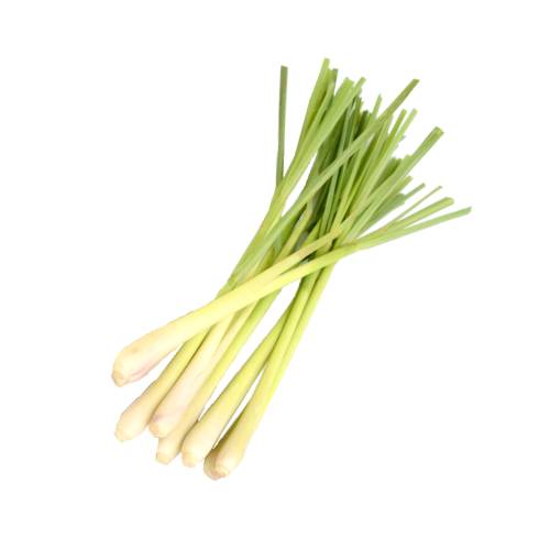 Lemongrass