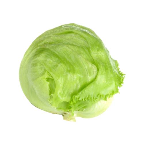 Lettuce Iceberg - Iceberg lettuce has a tight head of crisp leaves and a light green color.
