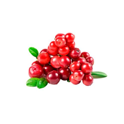 Lingonberry made into a pulp by cutting or blending lingonberry into a fine mushy paste.