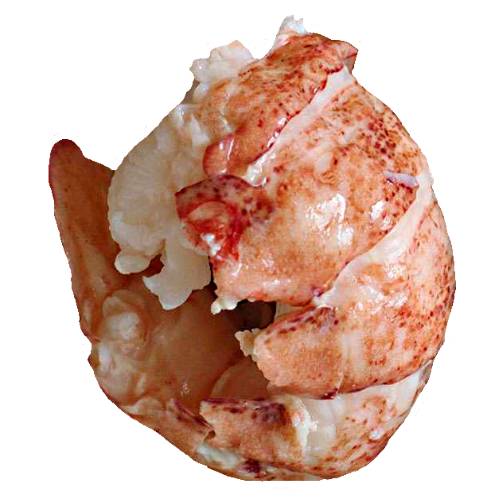 Cooked Lobster is cooked in many ways abd the best way is slow and steady.