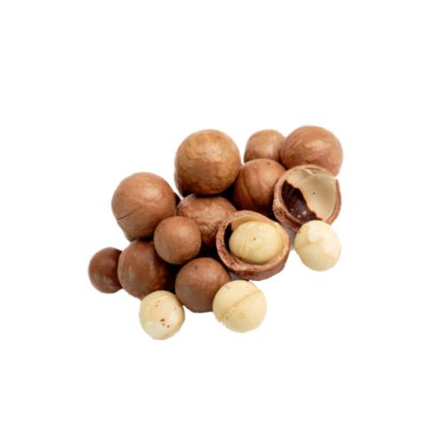 Macadamia is a genus of four species of trees indigenous to Australia and constituting part of the plant family Proteaceae.