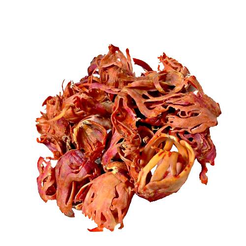 Mace is the spice made from the reddish seed covering aril of the nutmeg seed.