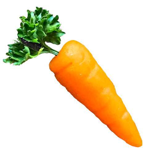 Carrot Marzipan is made from sugar or honey mixed with almond meal with a carrot flavour then shaped into a long carrot and use a little green for the carrot top.