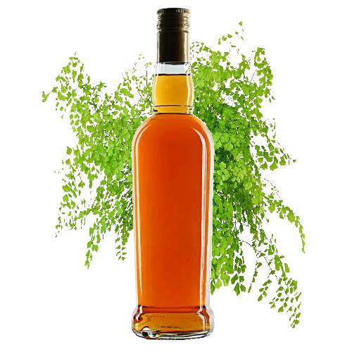 Mucilaginous Syrup is made by cooking maidenhair with water and sugar to make a thing sweet syrup.