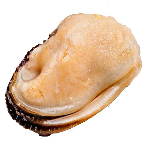 Mussel Cooked - Cooked Mussels are lightly poached in a warm liquid and can have a flavour.