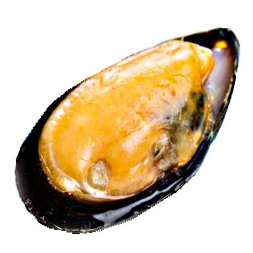Mussel Smoked - Smoked Mussel can be hot smoked or cold smoke to bring out the flavour.