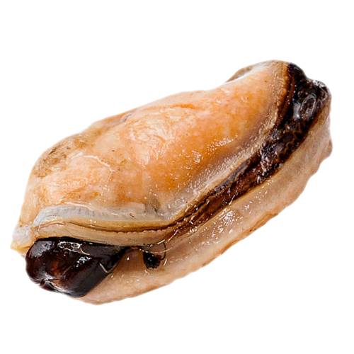 Mussel is a bivalve mollusc from saltwater and freshwater with a strong outer shell and byssal threads or beard that protects the internal soft tissues.