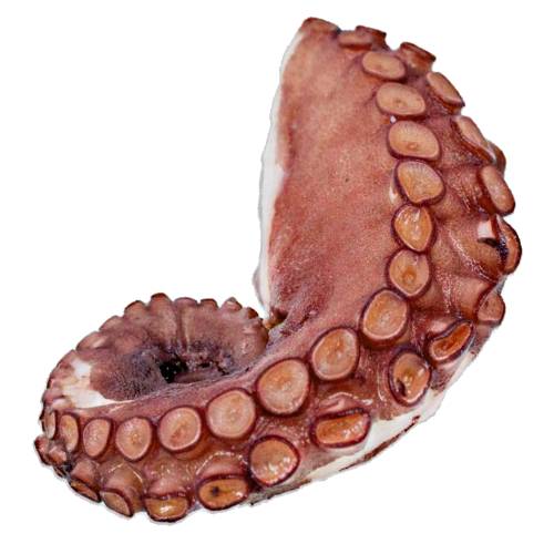 Smoked Octopus can be hot or cold smoked octopus that has a light smoky flavour.