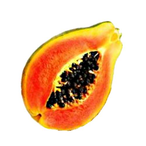 Pulp made from cutting and mashing papay papaw or pawpaw fruit.