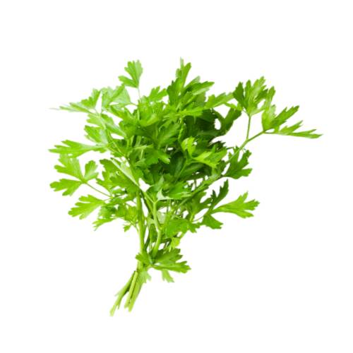 Parsley - Parsley or garden parsley is a species of flowering plant in the family Apiaceae that is native to the central Mediterranean region but has naturalized elsewhere in Europe and is widely cultivated as a herb a spice and a vegetabl