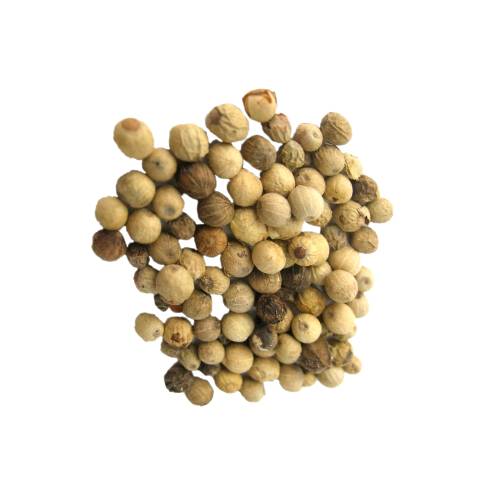 White pepper is a flowering vine in the family Piperaceae and black husk removed dried and used as a spice and seasoning known as a white peppercorn.