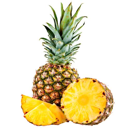 Abacaxi Pineapple is smaller and more round than other pineapple varieties and has a sweet and tangy flavor and its leaves are bluish green colored with red purple tinge.