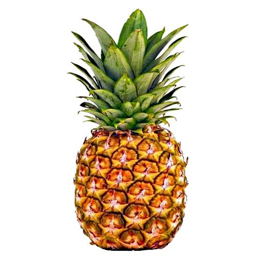 Hawaiian Crown Pineapple is a bright yellow and is used for fresh eating with a sweet acid flavour.