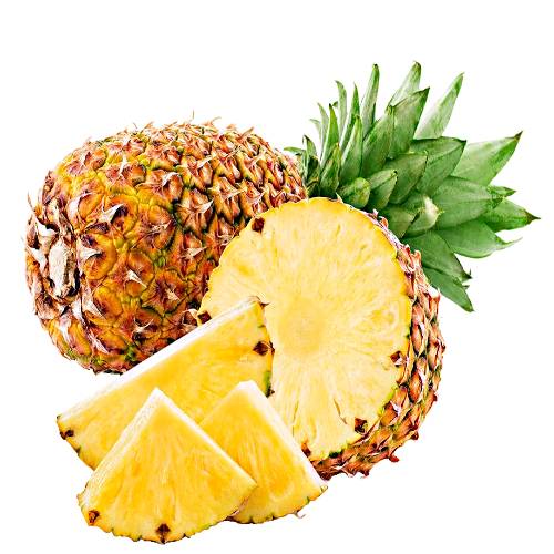 Honey Malang Pineapple are a round to slightly cylindrical shape and tall dark green leaves and the rind is golden yellow to light brown and with bright yellow flesh is juicy smooth with sweet flavor and mild acidity.