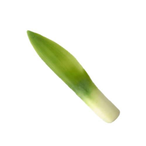Pineapple Leaf - Leaf picked from the center of a pineapple plant and light in color and soft round tip and hold the spicky ones.