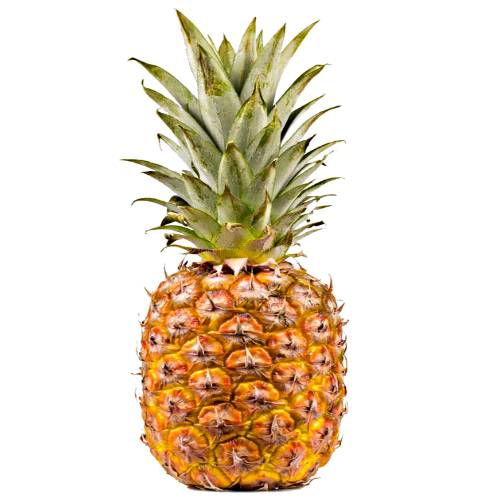 Maipure Pineapple is cylindrical and a deep yellow colored flesh and the leaves are spiky and have red spots.