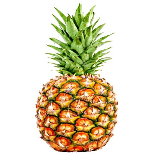Mordilona Pineapple starts green and then turns yellowish orange when ripe with cylindrical shape and alot of flesh and it tastes sweet and with a juicy texture and cream color.