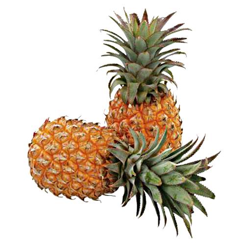 Queen Pineapple also called Cayenne Pineapple and Common Rough Pineapples has a yellow skin and a sweet juicy white flesh and a little spiciness.