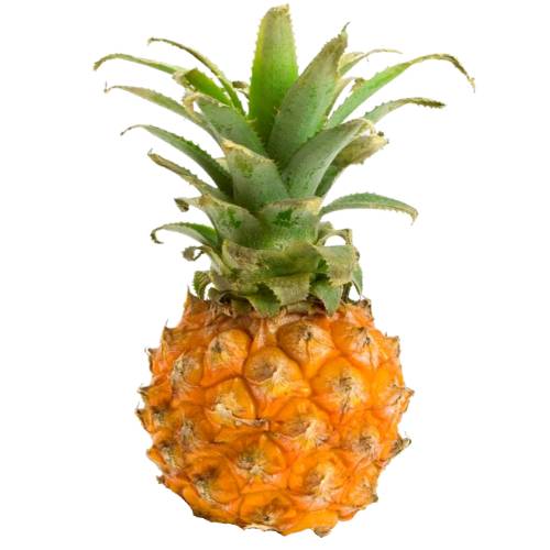 Rondon Pineapple are the smaller variety with a dark green outer part and dark spots and changes to an orange red shade when the pineapple ripens.