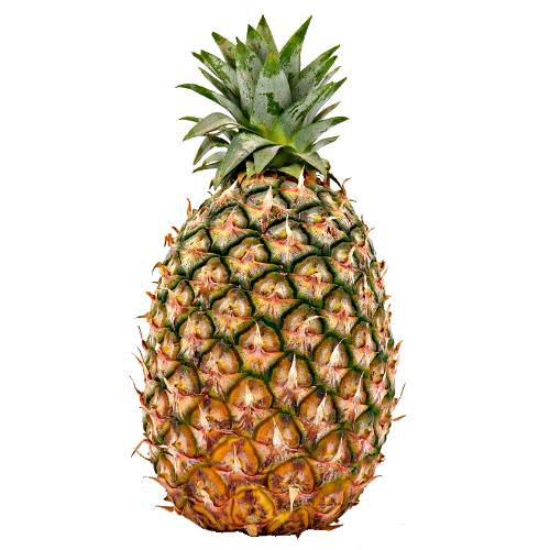 Smooth Cayenne Pineapple has a big fruit and low fiber and high acid and the flesh is a bright yellow with orange skin.