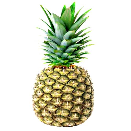 Pineapple White Jade has a very sweet white flesh and its taste has no sourness due to low acid and with a soft core and flesh.