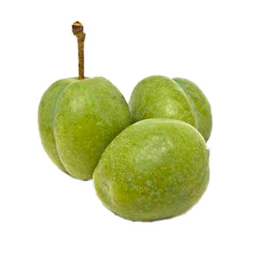 Kakadu Plum has exceptional nutritional and antiseptic properties and has been an important food and medicine in Northern Australia for millennia.