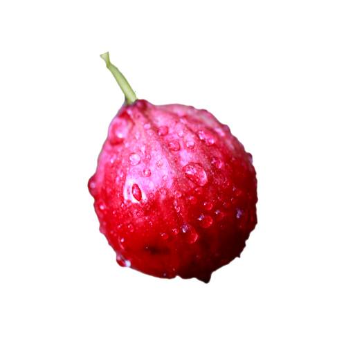 Quandong Berry is a santalum acuminatum or the quandong. The Quandong is a truly unique native Australian fruit.