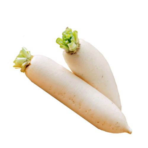 white-radish-2pcs-harinmart-korean-grocery-in-sg