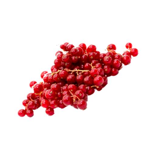 Redcurrant - Redcurrant or red currant is a member of the genus ribes in the gooseberry family. It is native across europe. The species is widely cultivated and has escaped into the wild in many regions.
