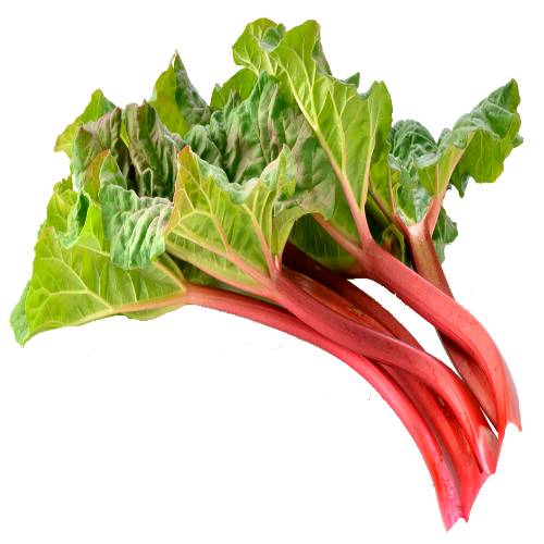 Rhubarb is a species of plant in the family Polygonaceae.