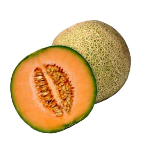 Ladybirds Rockmelon Melons (Boobs) Recipe by ladybird - Cookpad